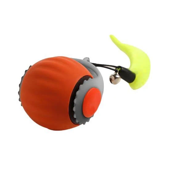 NordicPaws- En lyckligare katt